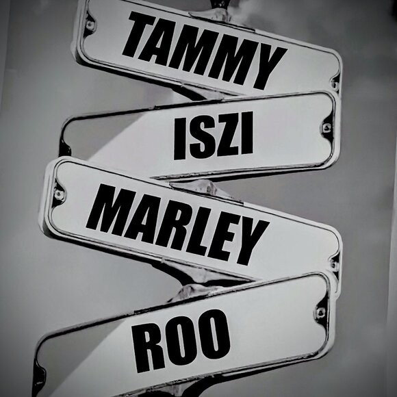 Meet your Posher, Tammy - Picture 1 of 1